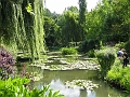 30 Giverny waterlillies